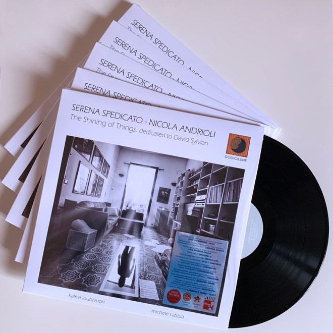 SERENA SPEDICATO - NICOLA ANDRIOLI - "The Shining of Things. dedicated to David Sylvian